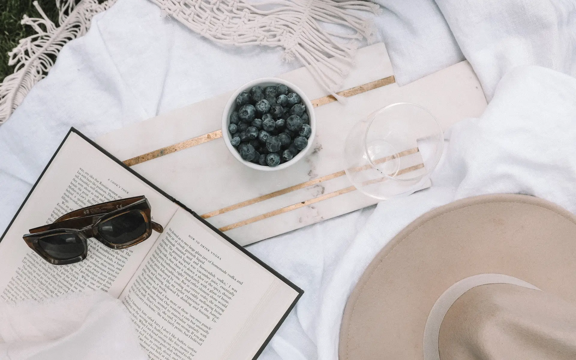 Panduan Lengkap & Cara Menjual Off Page SEO sebagai Layanan Freelance